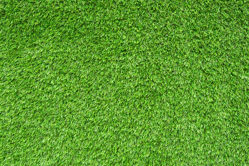 Artificial Grass Cleaning & Sanitizing