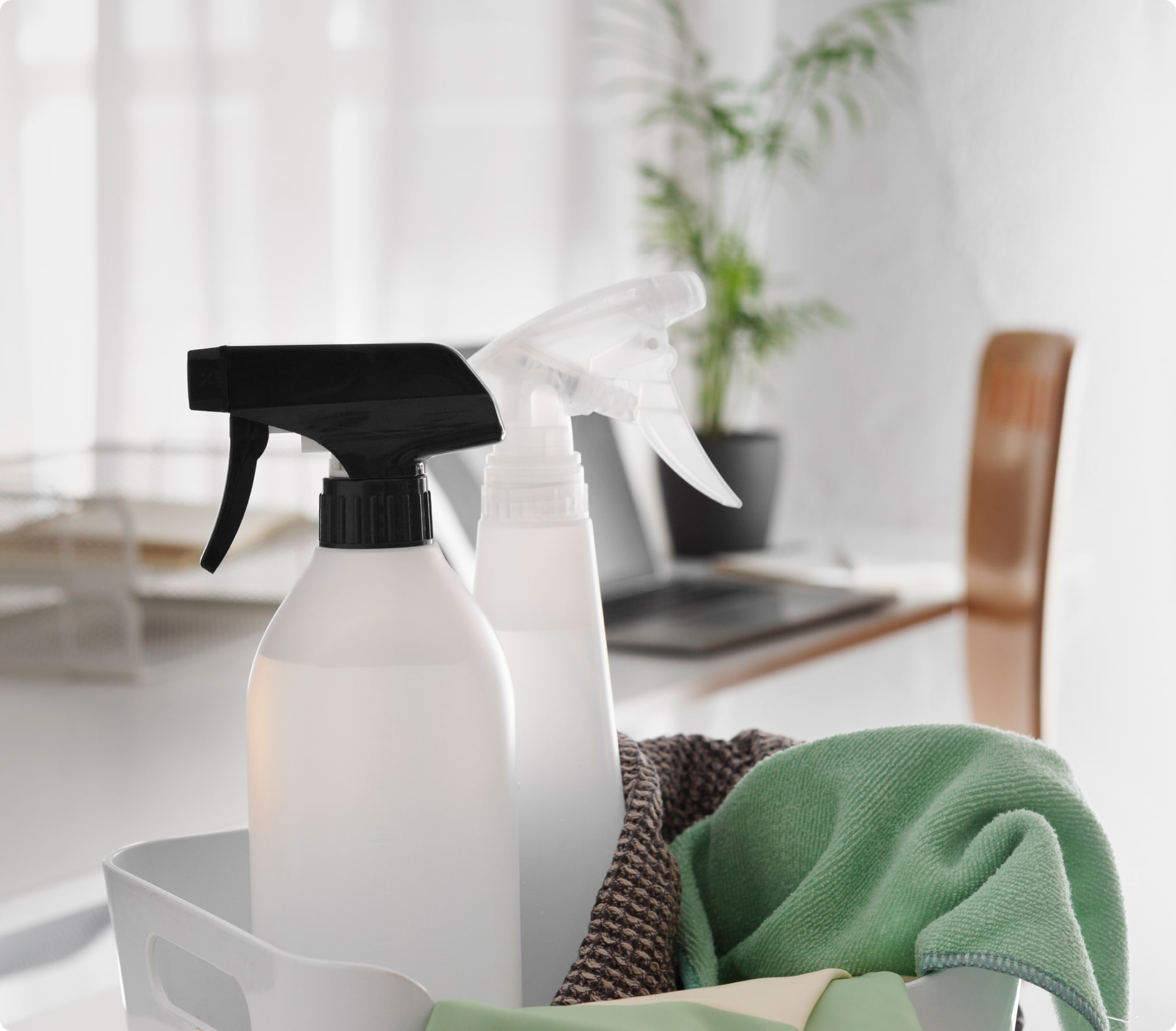 Green Cleaning: Eco-Friendly Tips for a Healthier Home