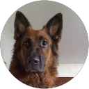 cecil lavado profile picture